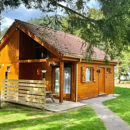 Myosotis 4 * Gérardmer